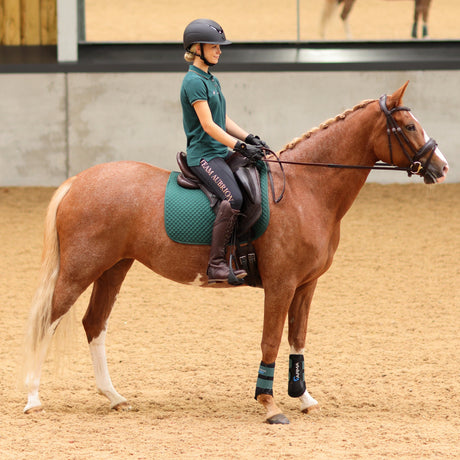 Shires Aubrion Ladies Team Polo #colour_green