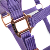 Shires ARMA Comfy Fleece Headcollar & Rope #colour_lavender