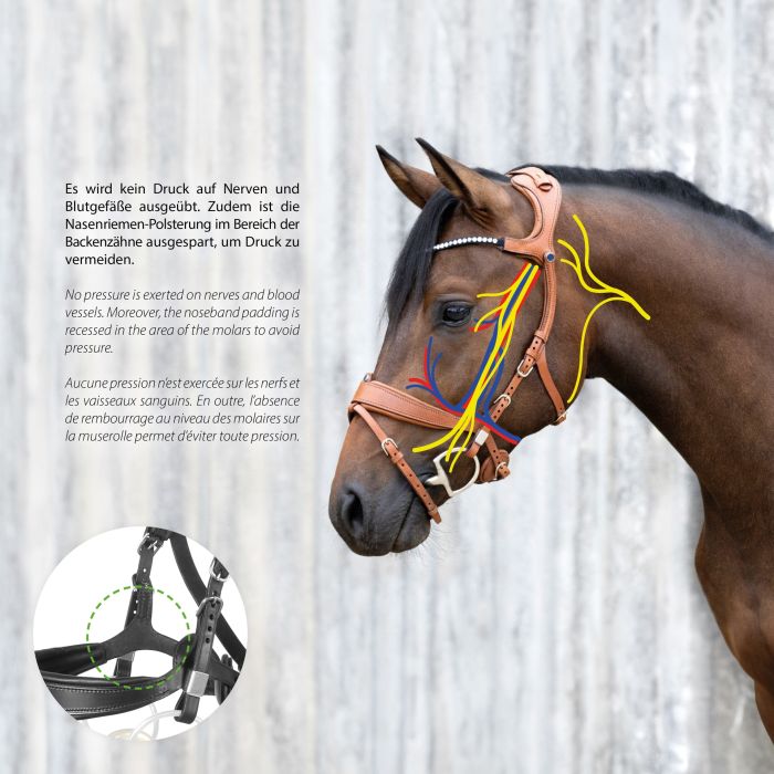 Stubben Freedom II Magic Tack with Slide/Lock Snaffle Bridle #colour_black-black