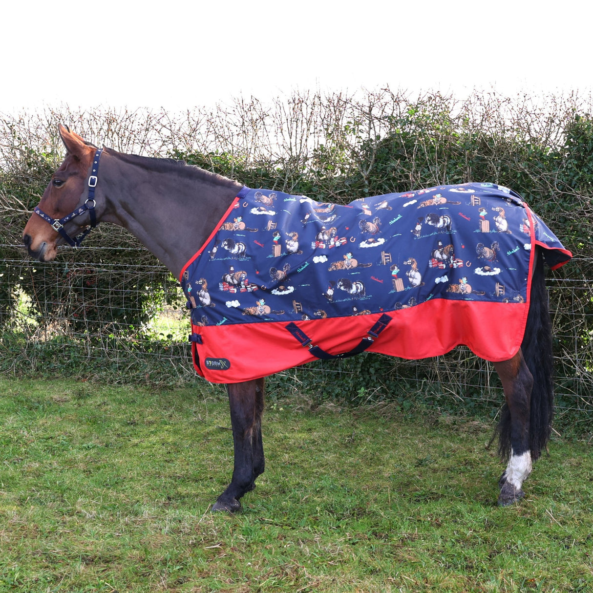 StormX Original 100g Thelwell Collection Practice Makes Perfect Turnout Rug