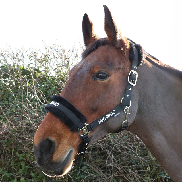 HYCONIC Faux Fur Head Collar & Lead Rope #colour_black