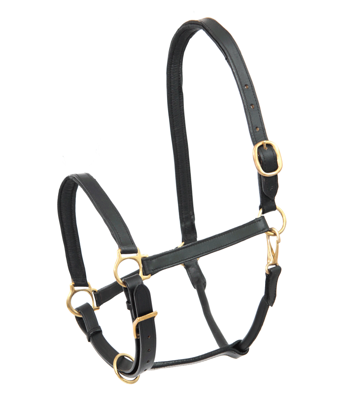 E.L.T Leather Halter #colour_black