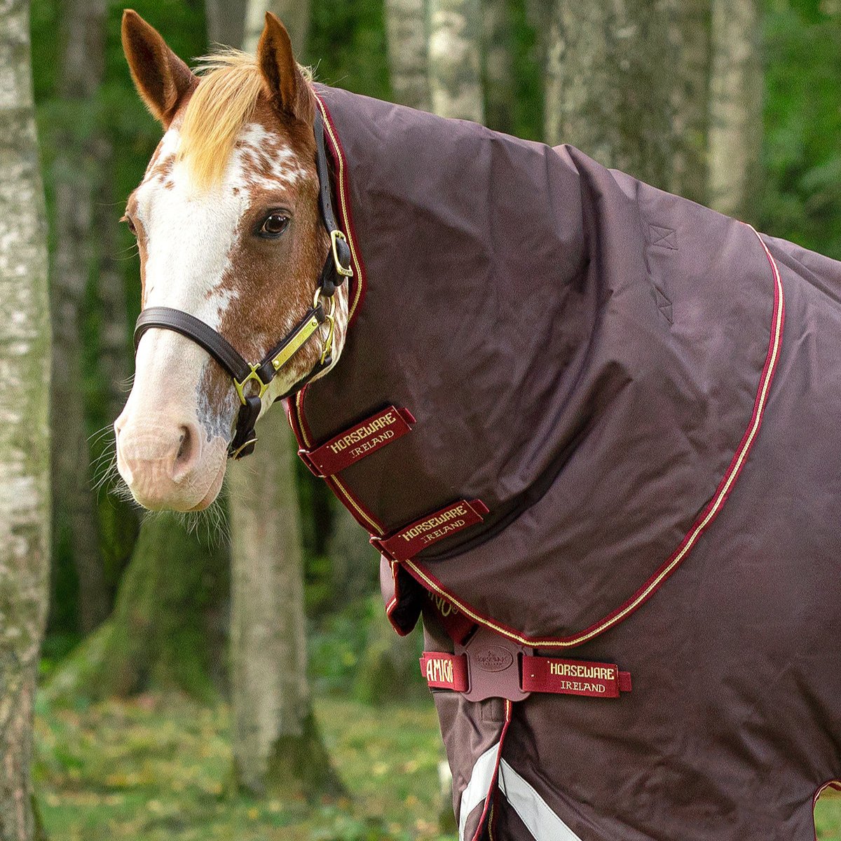 Horseware Ireland Amigo Bravo 12 Original Hood 0g #colour_brown-red-gold-red