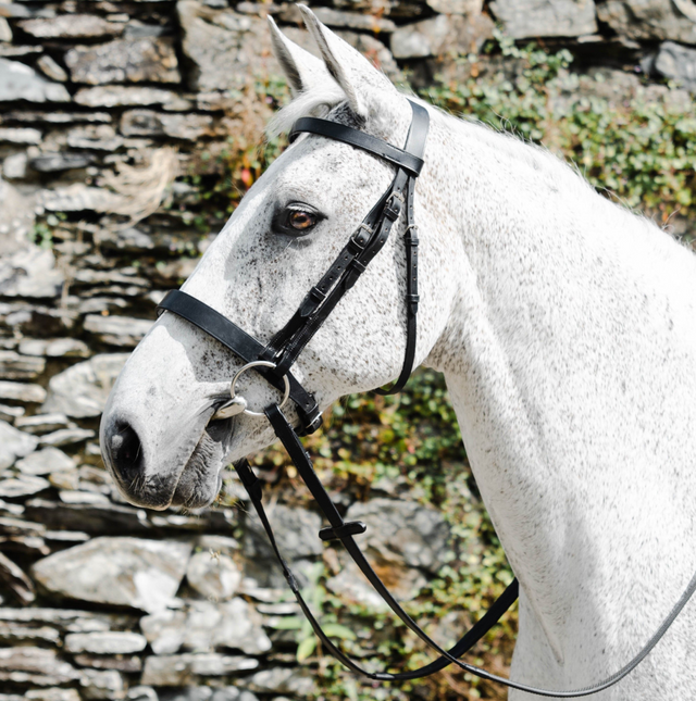 Mackey Classic Hunt Bridle with Reins #colour_black