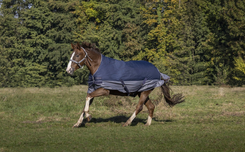 Equitheme Tyrex 600 D Turnout Rug / Lined With Polar Fleece #colour_navy-grey