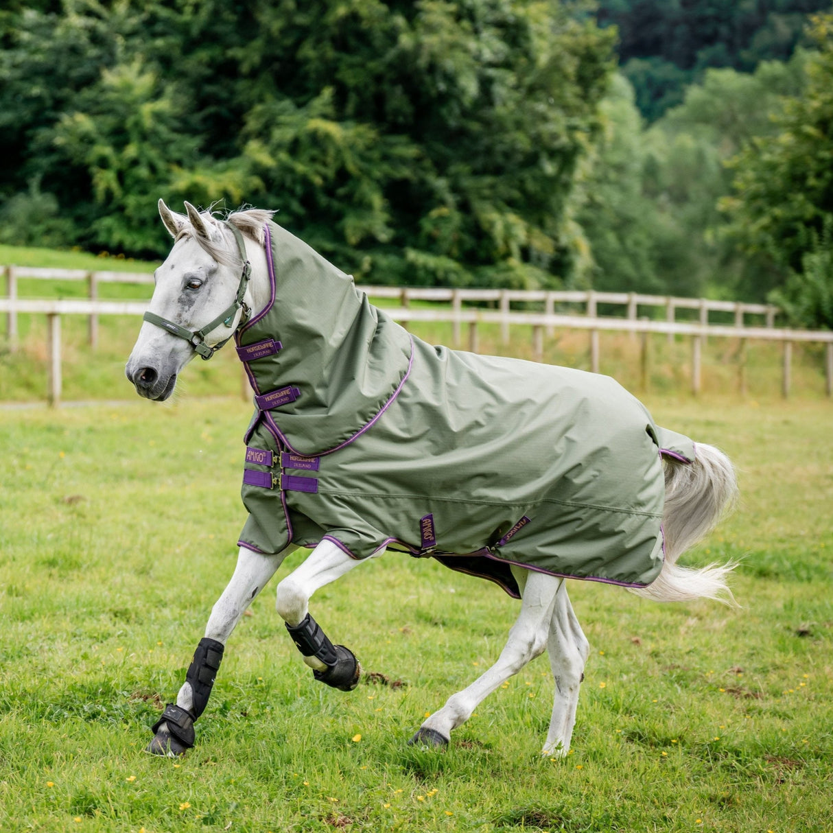 Horseware Ireland Amigo Hero 600D With Ripstop Plus 100g #colour_bramble-winterberry-taupe