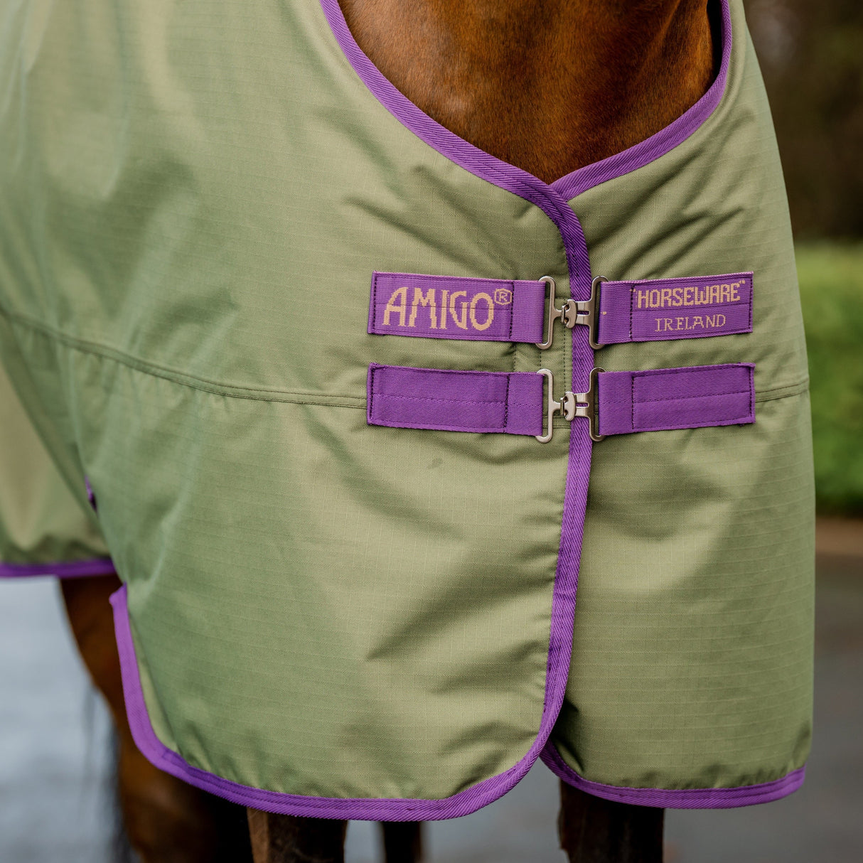 Horseware Ireland Amigo Hero 600D With Ripstop Plus 200g #colour_bramble-winterberry