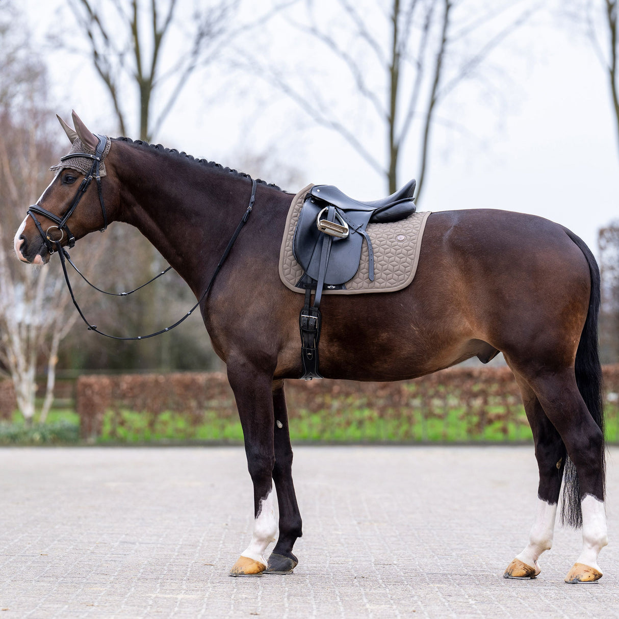 HV Polo Essential Dressage Saddle Pad #colour_stone