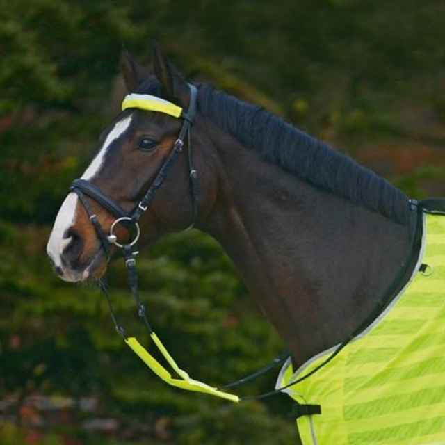 Waldhausen Reflex Bridle Set #colour_neon-yellow