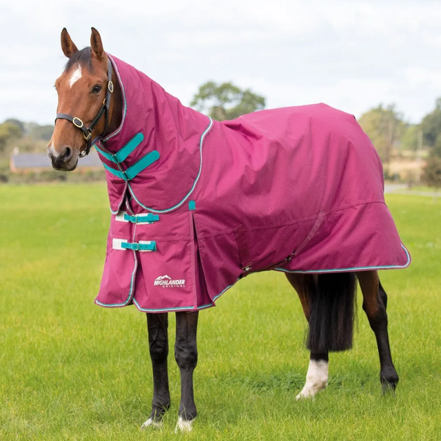 Shires Highlander Original 300g Turnout Rug & Neck #colour_raspberry