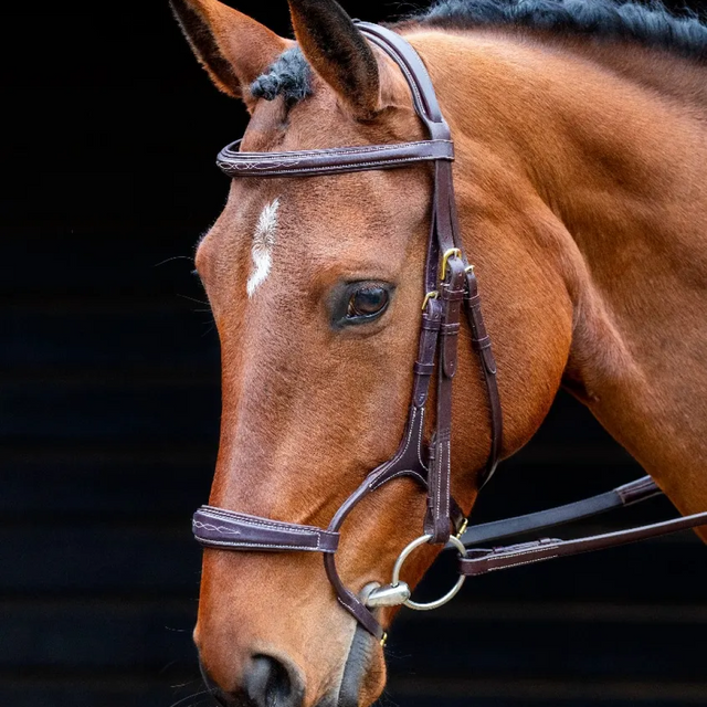 Shires Salisbury Brampton Bridle #colour_australian-nut