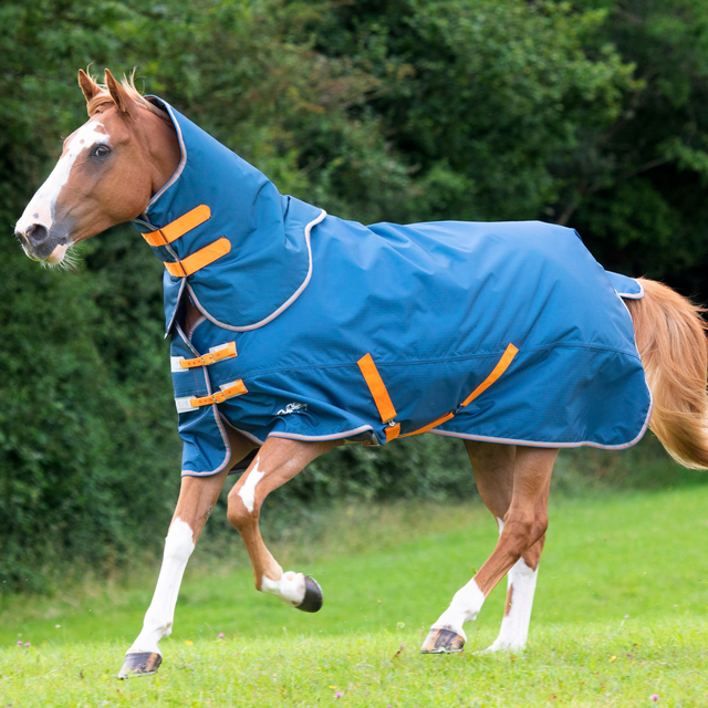 Shires Tempest Original Lite Turnout Rug with Detachable Neck #colour_teal