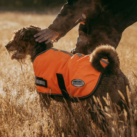 Weatherbeeta Reflective Parka 300D Dog Coat #colour_orange