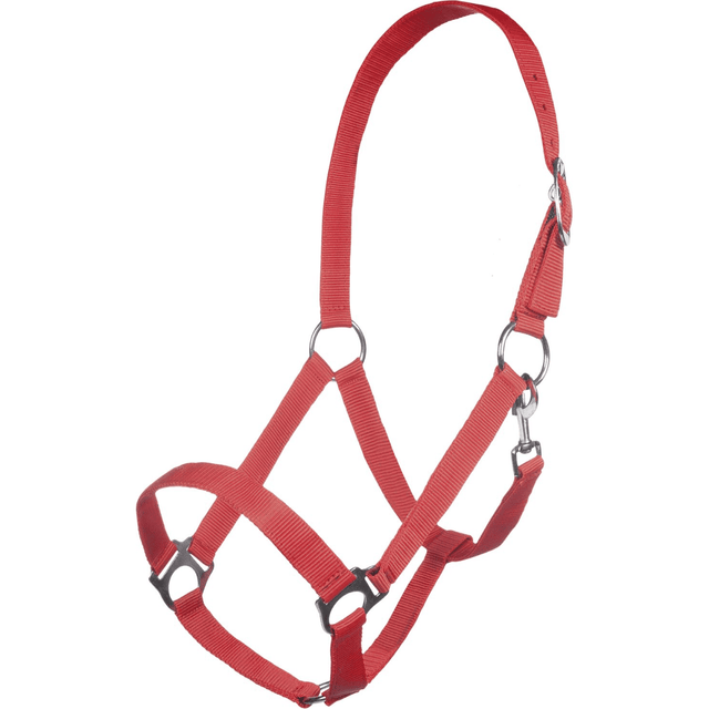 HKM Innsbruck Head Collar #colour_red