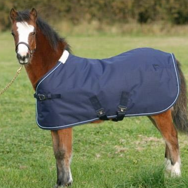 Mark Todd Foal Turnout Rug #colour_navy